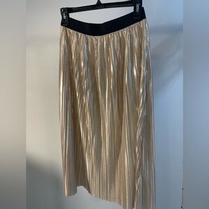 Shimmery Skirt